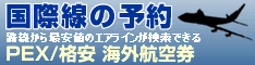 海外航空券予約の国際線.biz